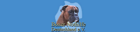 www.boxernothilfe.de