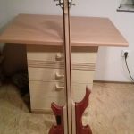 Bass Through Neck - G. Wirth (4)