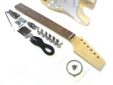 E-Gitarren-Bausatz/Guitar Kit Style I