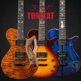 E-Gitarre SPEAR Tomcat Golden Tiger