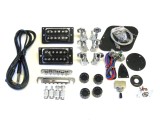 E-Gitarren-Bausatz/Guitar Kit MLP Hybrid II mit Bird Inlays