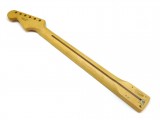 Fender One Piece Maple Standard Neck / Hals fr Stratocaster