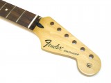 Fender Standard Neck / Hals fr Stratocaster Pau Ferro Griffbrett 22 B