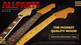 Fender licensed Allparts Neck/Hals fr Stratocaster, Palisander Griffbrett