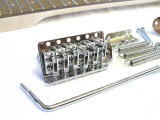 E-Gitarren-Bausatz/Guitar Kit Style I 12-saitig !!!!